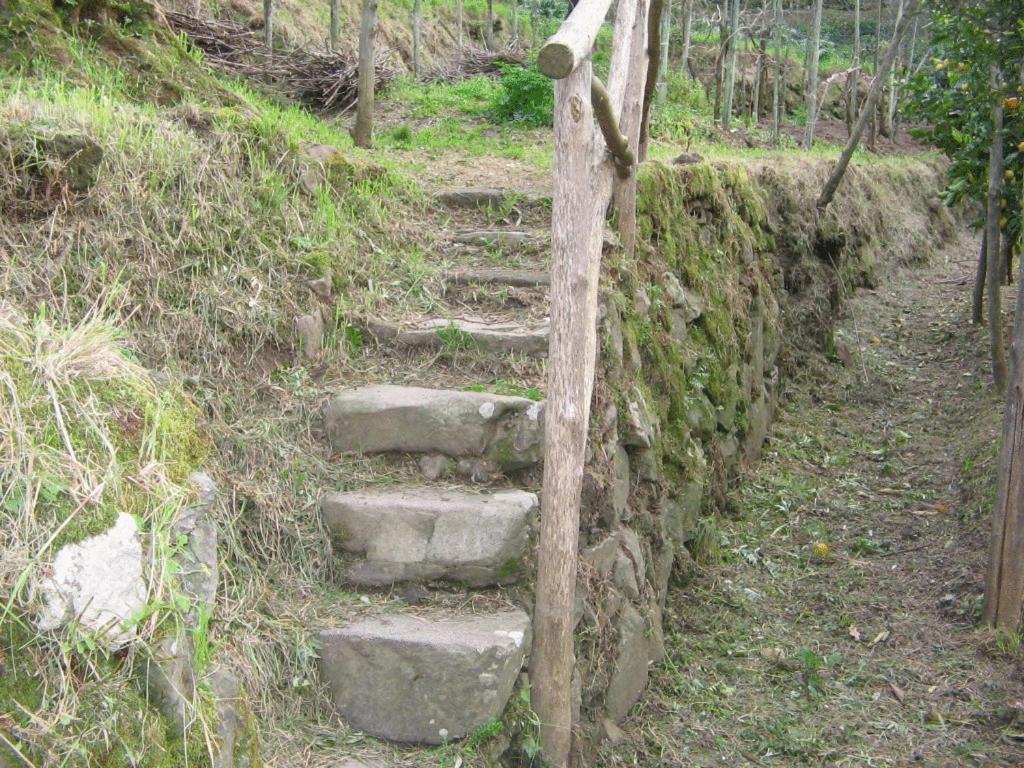 Gli Ulivi Agriturismo Sant'Agnello Kültér fotó