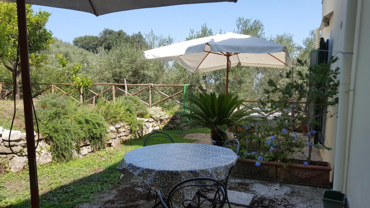 Gli Ulivi Agriturismo Sant'Agnello Kültér fotó
