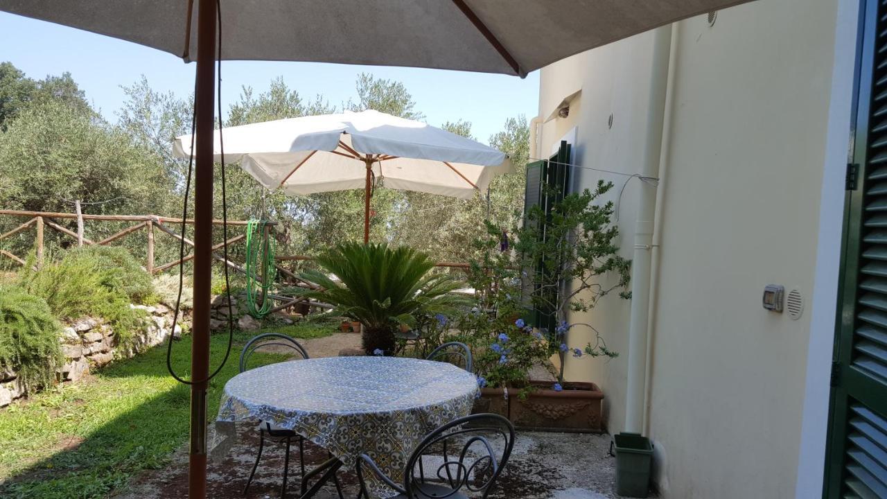 Gli Ulivi Agriturismo Sant'Agnello Kültér fotó