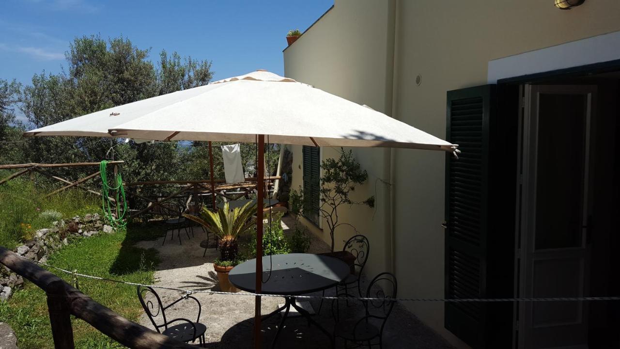 Gli Ulivi Agriturismo Sant'Agnello Kültér fotó