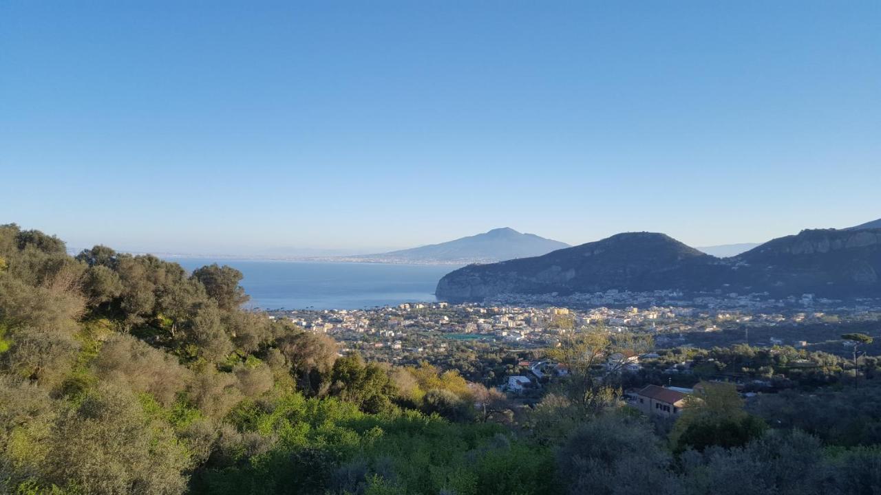 Gli Ulivi Agriturismo Sant'Agnello Kültér fotó