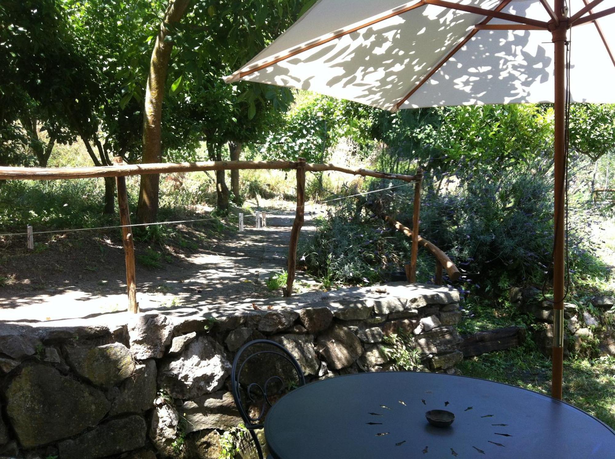 Gli Ulivi Agriturismo Sant'Agnello Kültér fotó