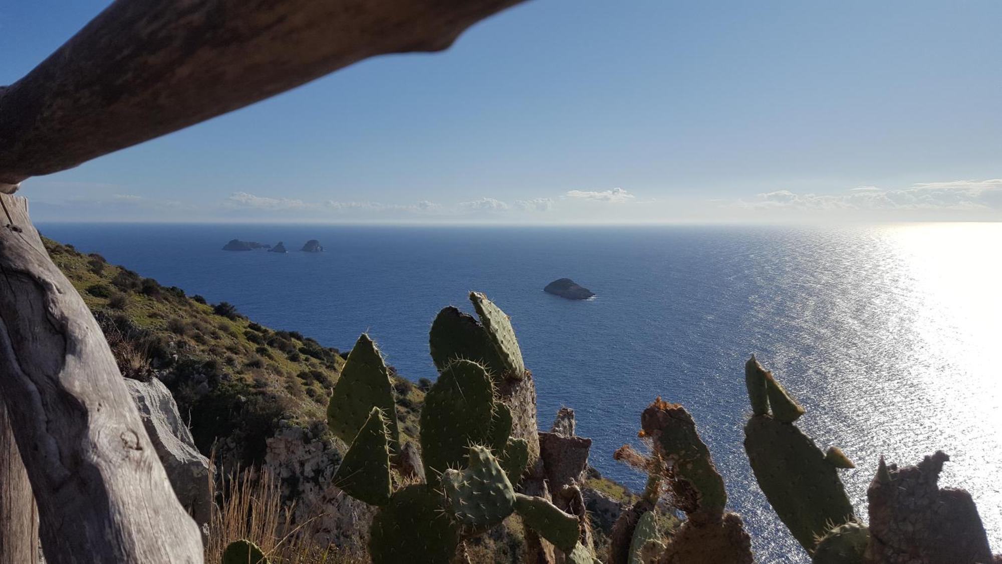 Gli Ulivi Agriturismo Sant'Agnello Kültér fotó