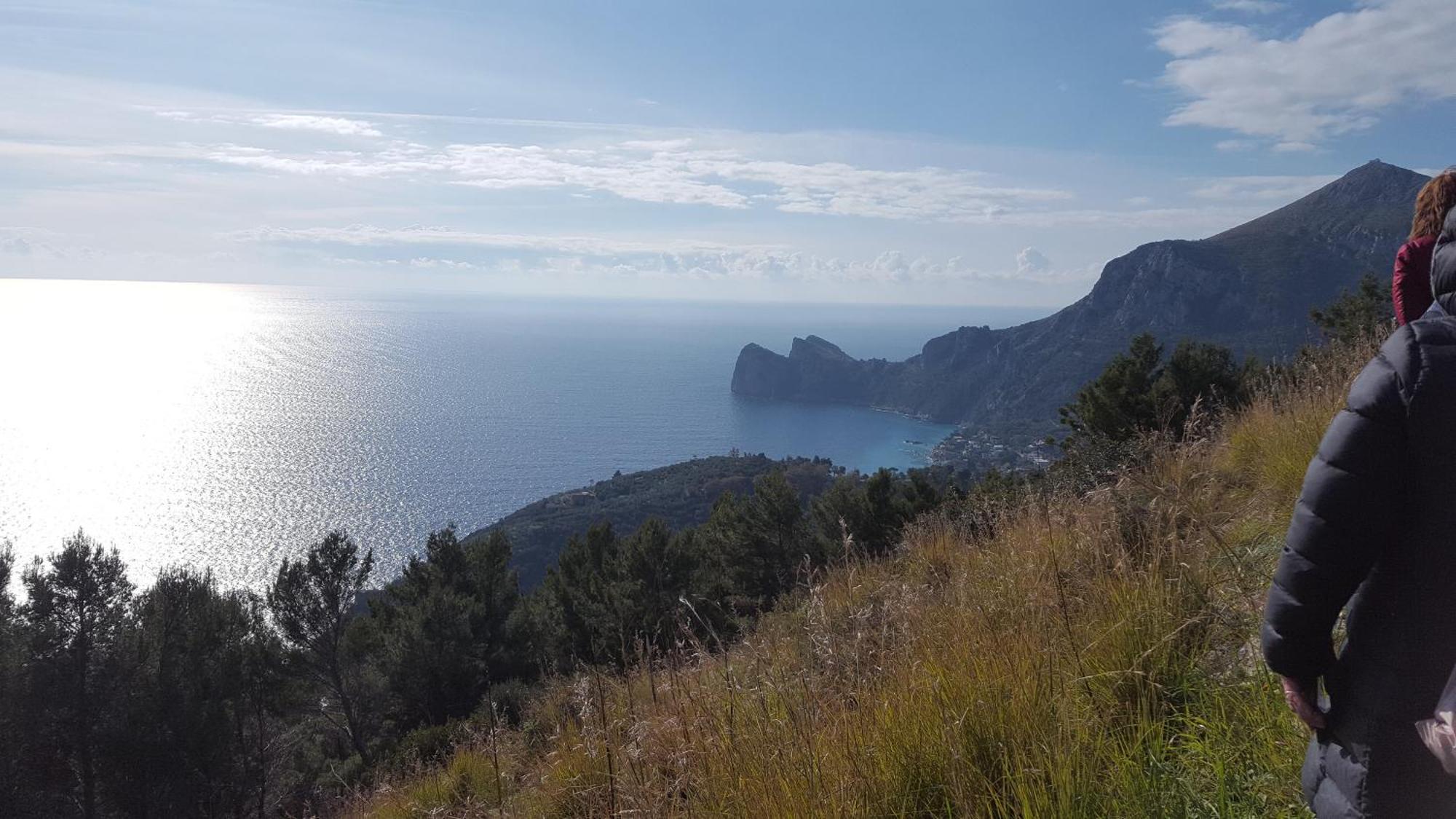 Gli Ulivi Agriturismo Sant'Agnello Kültér fotó