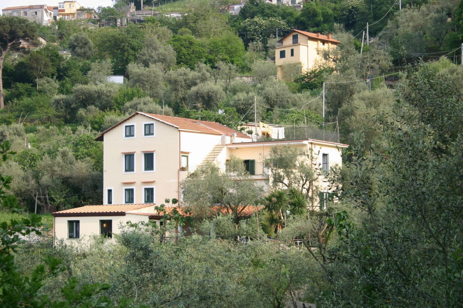 Gli Ulivi Agriturismo Sant'Agnello Kültér fotó