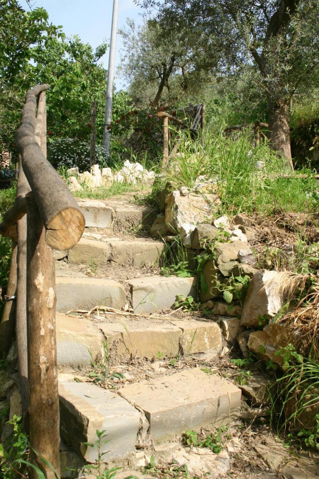 Gli Ulivi Agriturismo Sant'Agnello Kültér fotó