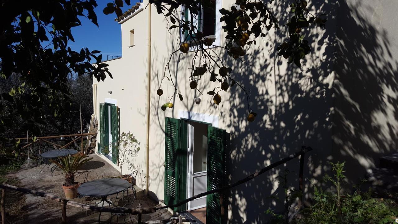 Gli Ulivi Agriturismo Sant'Agnello Kültér fotó