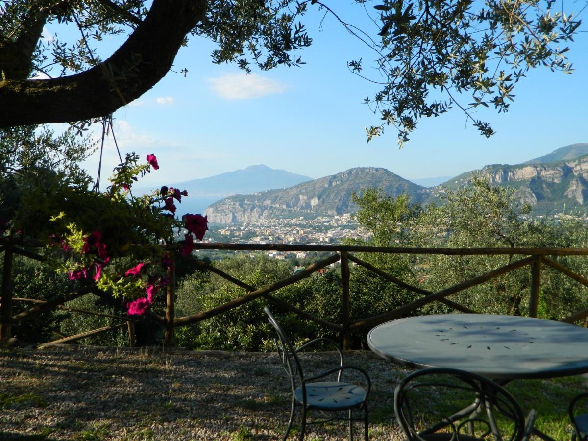 Gli Ulivi Agriturismo Sant'Agnello Kültér fotó
