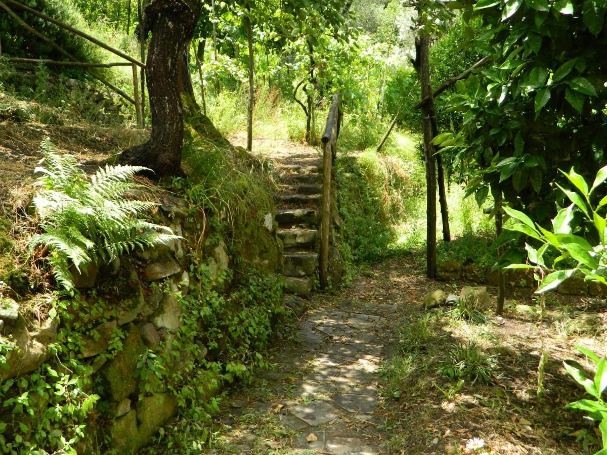 Gli Ulivi Agriturismo Sant'Agnello Kültér fotó