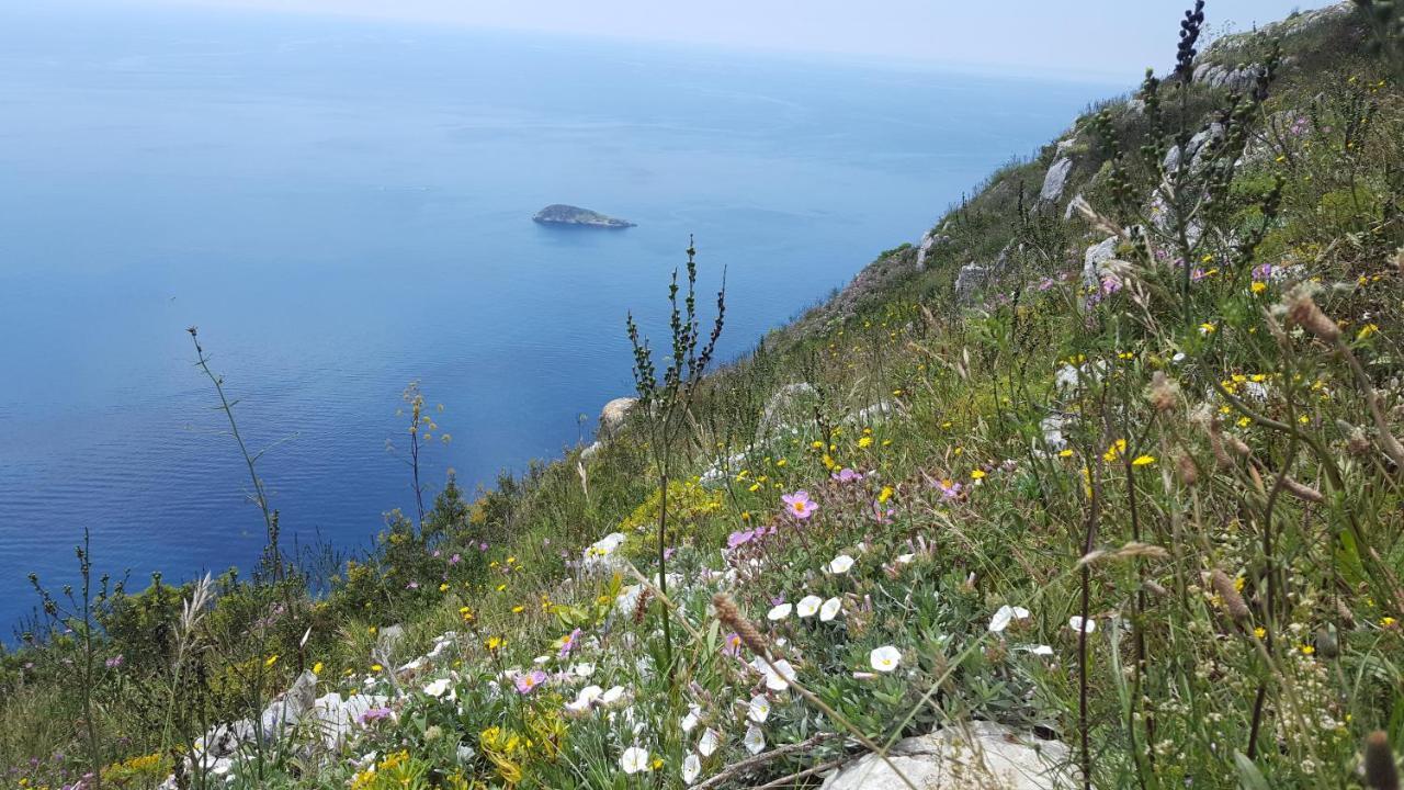 Gli Ulivi Agriturismo Sant'Agnello Kültér fotó